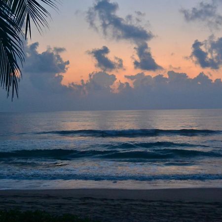Casa Faro Bed & Breakfast Troncones Luaran gambar