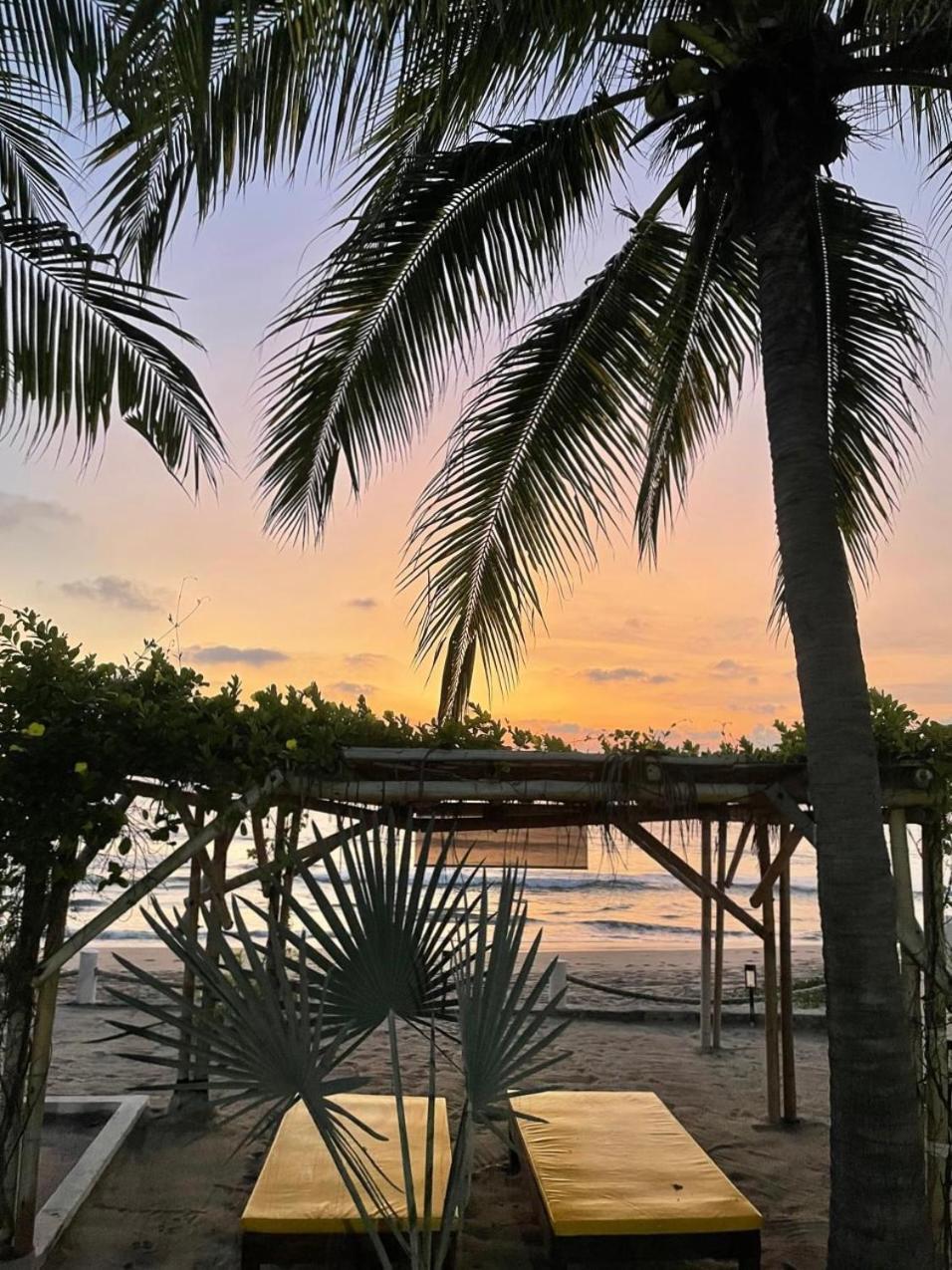 Casa Faro Bed & Breakfast Troncones Luaran gambar